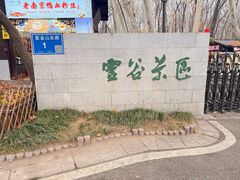 -灵谷景区