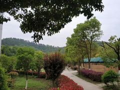 -我家农庄