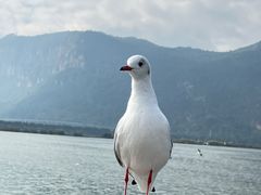-昆明滇池国家级风景名胜区西山景区