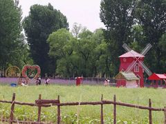 -北京东方普罗旺斯薰衣草庄园