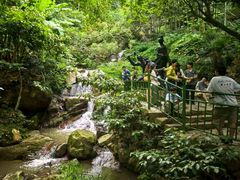 -莫干山风景区