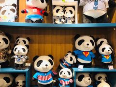 -熊猫屋(宽窄巷子景区店)