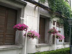 -上海市静安区教育学院附属学校(江宁校区)