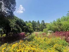 -国家植物园南园