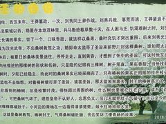 景点-御林古桑园