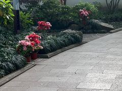 -上海醉白池公园