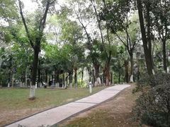 -百林公园-两江幸福广场