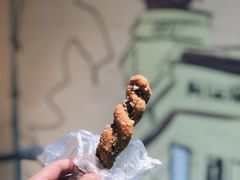 蒜蓉枝-海丝金凤(金鱼店)