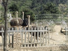-山西乌金山旅游区