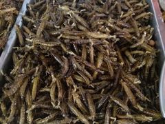 -铁锅炖灶台鱼老三炖鱼馆