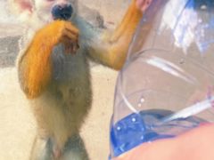 -泉州海丝野生动物世界