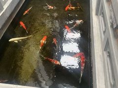 -鲤院·新中式美学·庭院餐厅(夫子庙店)