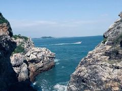 -杨梅坑