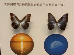 -天津自然博物馆