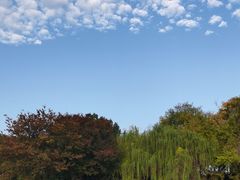 -天目湖山水园