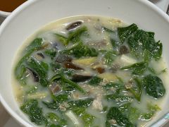 桑叶苗-鸽鸟轩(石岐店)