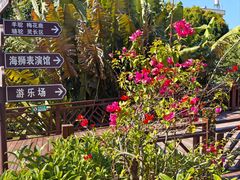 -泉州海丝野生动物世界