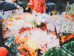 -循礼门鲜花花市(武汉循礼门店)