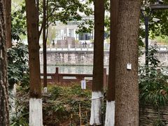 -成都市活水公园