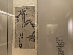 -八大山人梅湖景区