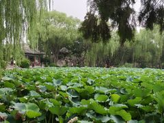 -莲池书院博物馆