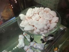 -猫咪博物馆(顶澳仔猫街店)