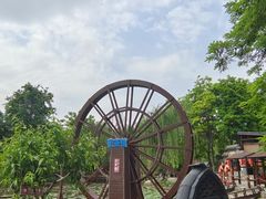 -茯茶镇