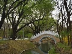 -北坞公园