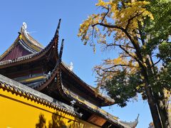 -西园寺素食(西园弄戒幢律寺店)
