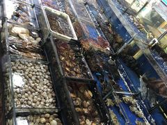 -无锡天鹏食品城