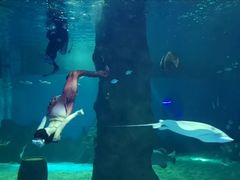 -北戴河圣蓝海洋公园