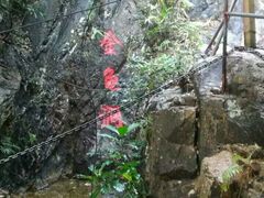 -牛鱼嘴原始生态风景区