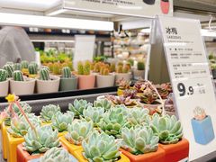 实物图-鹿岛生活(龙湖上城天街店)