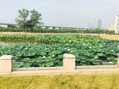 -南京医科大学(江宁校区)