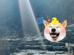 -北京鹫峰国家森林公园