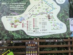 -野象谷景区