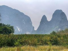 -钟山水墨田园