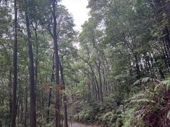 -广州市白云山风景名胜区