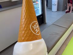-野人先生现做冰淇淋(北京悠唐购物中心店)