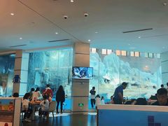 -帝企鹅自助餐厅•儿童岛•真企鹅(长隆企鹅酒店)