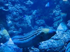 -海合安青岛极地海洋公园