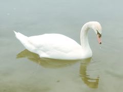 -北龙湖湿地公园