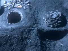 窑鸡-陈岱后山窑鸡店