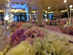 -保定金沙芝柏婚礼策划