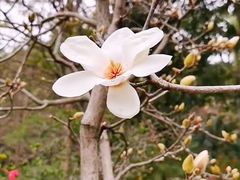 -云溪植物园