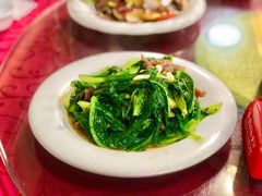 豆豉鲮鱼油麦菜-大岭山烧鹅基