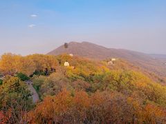 -紫金山山顶公园