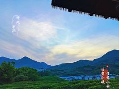 -龙坞茶村