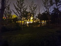 -迎泽公园