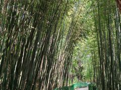 -四门塔风景区